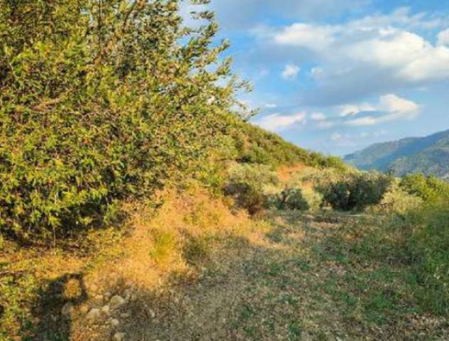 Immobile in asta di 2 m² in vendita a Gallicchio - Foto 9