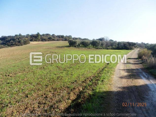 Terreno di 46370 mq in vendita a Montescaglioso - Rif. 4555042