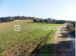 Terreno di 46370 mq  in vendita a Montescaglioso - Rif. 4555042