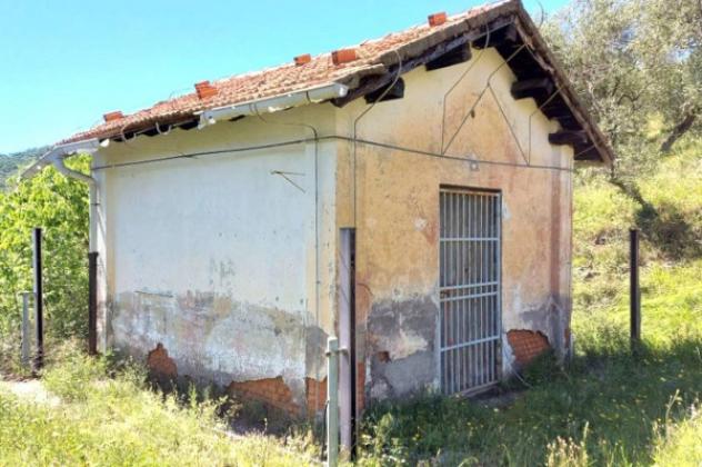 Immobile in asta di 21000 m² in vendita a Pietrabruna - Foto 5