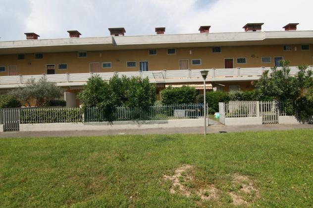 Appartamento in affitto a Marina di Carrara - Carrara 75 mq Rif: 1141249 - Foto 2