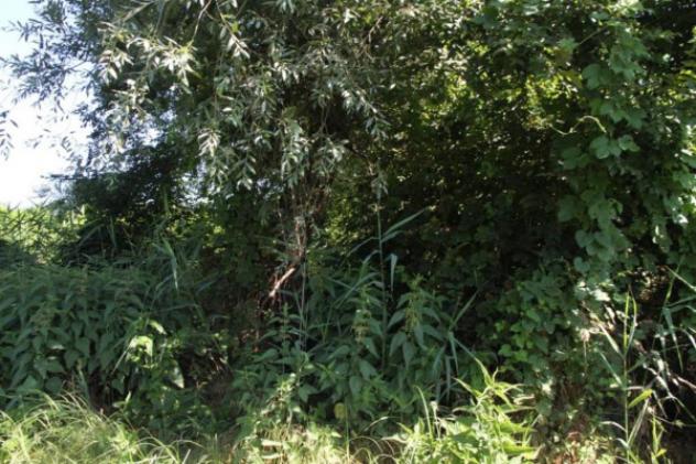 Immobile in asta di 498300 m² in vendita a Cava Manara - Foto 5