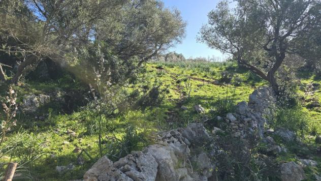 Agricolo in vendita a Siracusa - Foto 8