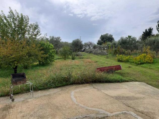 Uliveto in vendita a Siracusa - Foto 5