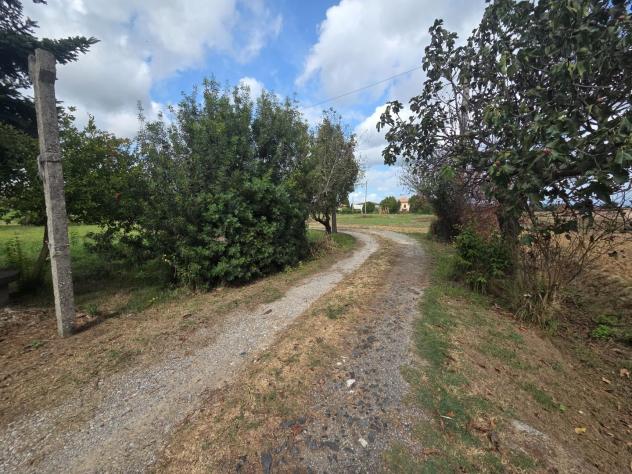 Annesso agricolo in vendita a Castelfranco di Sotto 2600 mq Rif: 1353276 - Foto 6