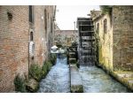 RIFERIMENTO FC118 - VILLA VENETA DEL 1700 CON IMPORTANTE PARCO STORICO