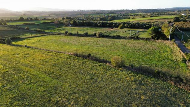 Terreno Agricolo in Bracciano - Foto 3