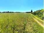 Terreno agricolo in vendita a Cecina 51840 mq  Rif: 1414039