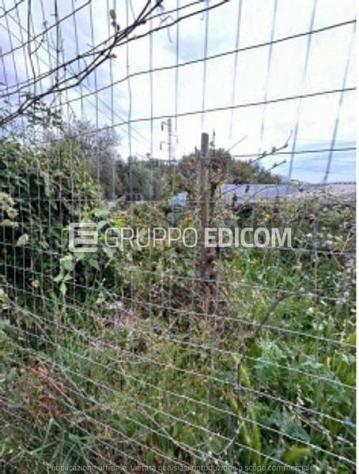 Terreno in vendita a Massa - Rif. 3559520 - Foto 6