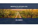 Immobile in asta di 16835 m² in vendita a Montalto Uffugo