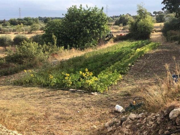 Terreno in vendita a Sortino - Foto 2