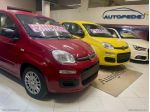 FIAT Panda 1.0 FireFly S&S Hybrid Pandina VARI COLORI MY 25 HYBRID