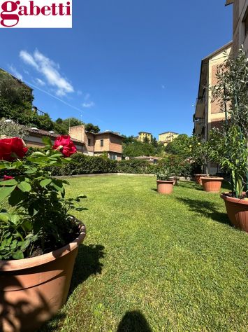Rif. S2692 - Siena Camollia – zona Le Lupe - Giardino e posto auto - Foto 2
