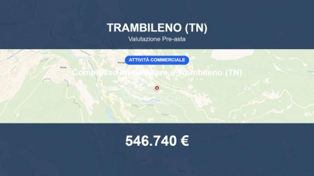 Immobile in asta di 4020 m² in vendita a Trambileno