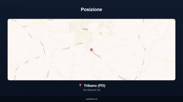 Immobile in asta di 226 m² con più di 5 locali in vendita a Tribano - Foto 3