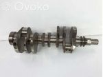 Albero motore per Range Rover L322 TdV8 3.6 diesel