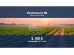Immobile in asta di 35750 m² in vendita a Petritoli