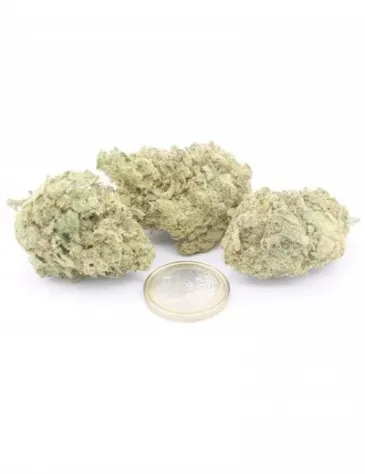 White Widow - Foto 3