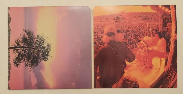 3 Vinile The First Great Rock Festivals Of The Seventies-Isle Of Wight/Atlanta - Foto 3