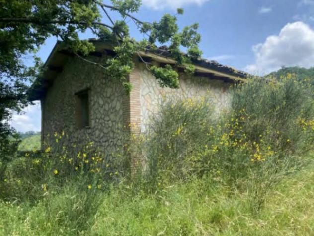 Immobile in asta di 192 m² in vendita a Castelli - Foto 4