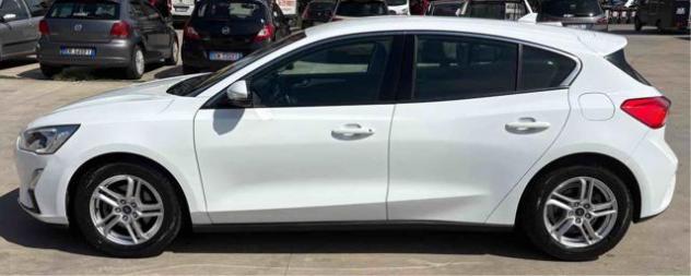 FORD Focus 1.0 EcoBoost 100 CV Start&Stop Plus rif. 23891818 - Foto 2
