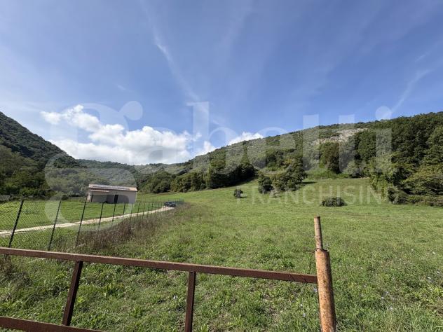 Terreno Agricolo - Segni . Rif.: Cod. rif 3261218VCG - Foto 13