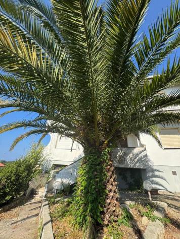Villetta bifamiliare in vendita a Nibbiaia - Rosignano Marittimo 264 mq Rif: 1428263 - Foto 9