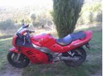 Suzuki RF600R