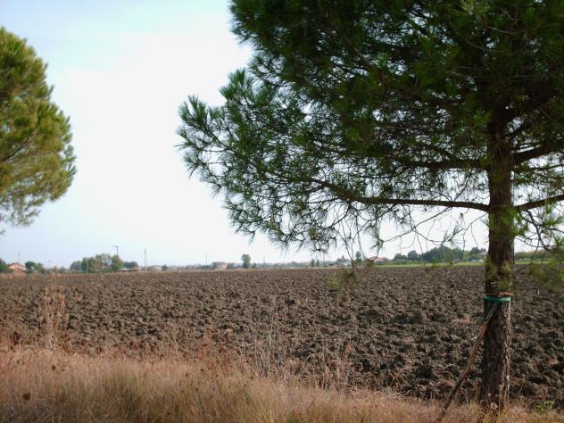 Agricolo in vendita a Rimini