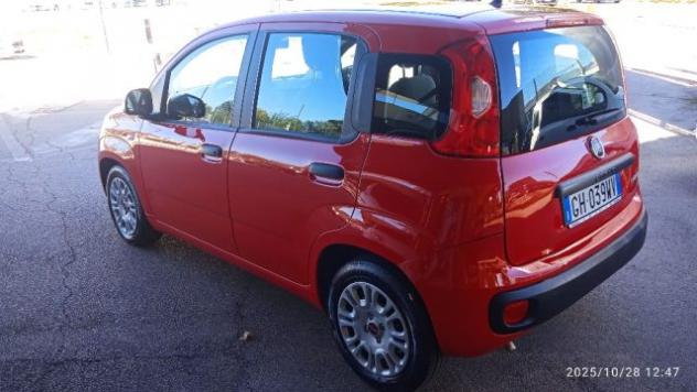 FIAT Panda 1.0 FireFly S&S Hybrid rif. 23002127 - Foto 5