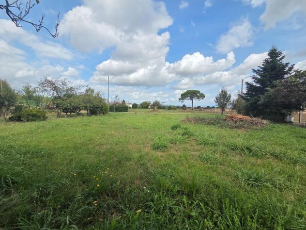 Annesso agricolo in vendita a Castelfranco di Sotto 2600 mq Rif: 1353276 - Foto 5