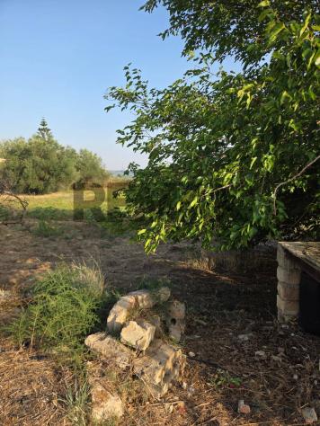 Terreno in vendita a Caltagirone - Foto 5