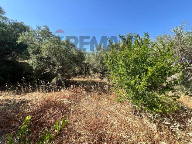 Terreno in vendita a Motta Sant'Anastasia - Foto 12