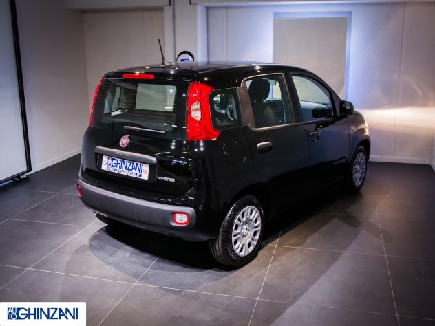 FIAT Panda Panda 1.0 FireFly S&S Hybrid Icon - "PREZZO VERO" - Foto 6