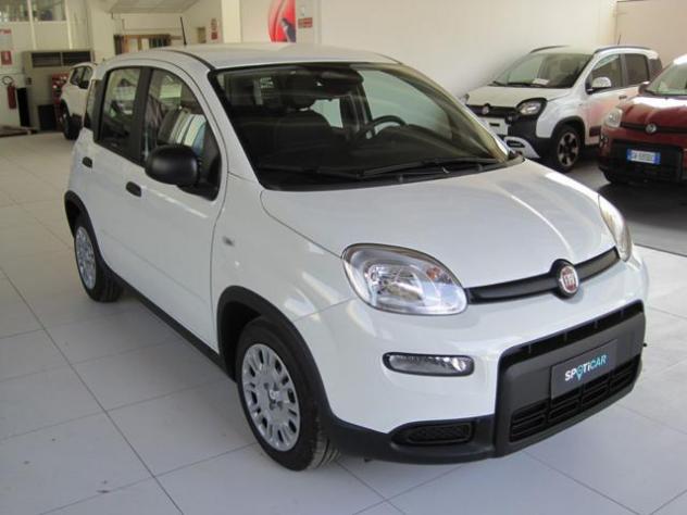 FIAT Panda 1.0 FireFly S&S Hybrid rif. 21416888 - Foto 3