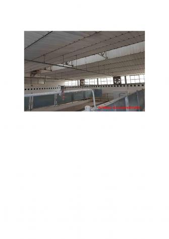 R.G.E. 15/2016 Siena - Foto 3