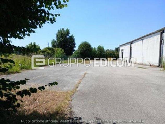 Fabbricati costruiti per esigenze commerciali in vendita a Rovigo - Rif. 3561792 - Foto 4