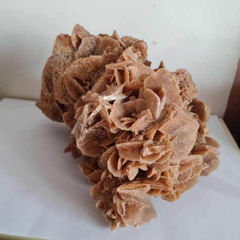 Rosa del deserto soprammobile - Foto 4