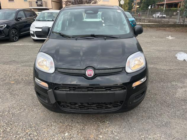 FIAT Panda Pandina 1.0 firefly hybrid Icon s&s 65cv - Foto 2