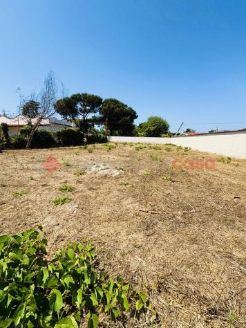 Terreno Agricolo - Terracina . Rif.: Cod. rif 3250892VCG - Foto 20
