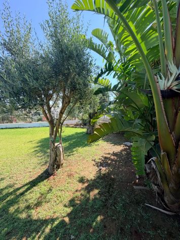 VILLA FRONTE MARE - Foto 10