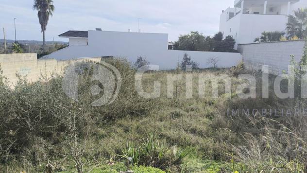 Terreno edificabile in vendita a Collepasso - Foto 5