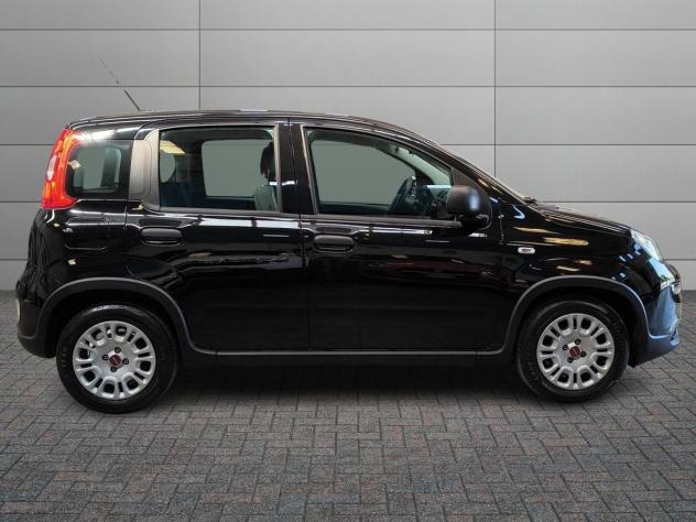 FIAT Panda 3ª serie 1.0 FireFly S&S Hybrid - Foto 3