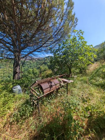 Casa singola in vendita a Pulica - Fosdinovo - Foto 2
