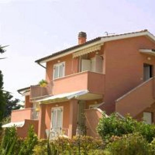 AmareNumana