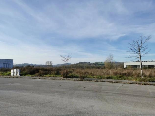 Immobile in asta di 7547 m² in vendita a Corinaldo - Foto 3