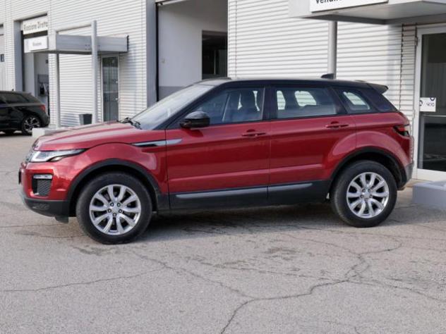 LAND ROVER Range Rover Evoque 2.0 Td4 150cv 5p Pure rif. 24205108 - Foto 2