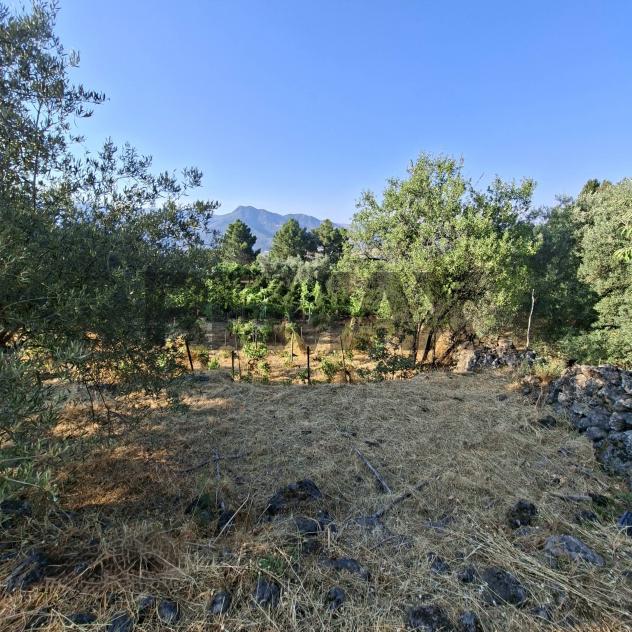 Terreno in vendita a Castiglione di Sicilia - Foto 7
