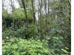 Immobile in asta di 1880 m² in vendita a Gattinara