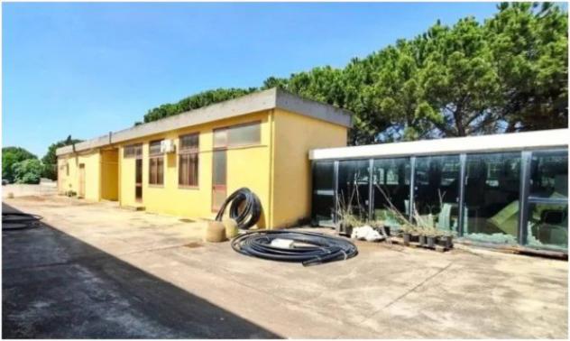 Immobile in asta di 1735 m² in vendita a Elmas - Foto 10